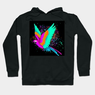 Colorful Parrot Hoodie